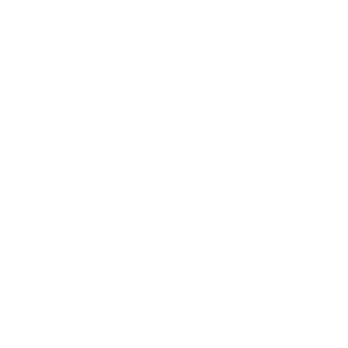 sun-flower.png