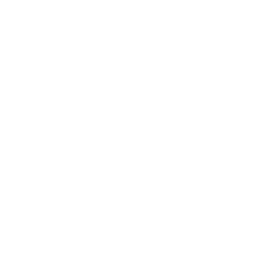 ابو-طارق.png